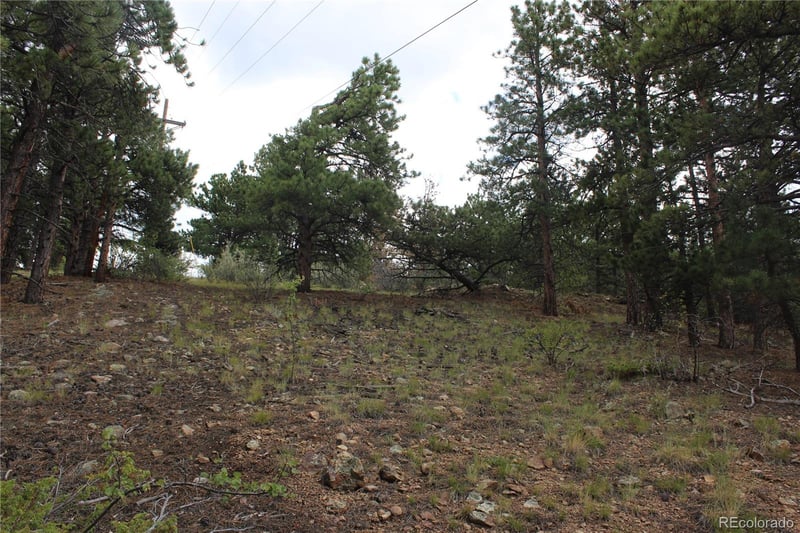 00 Golconda Mine Rd Lot 599, 16671, 16671b, Central City, CO 80427