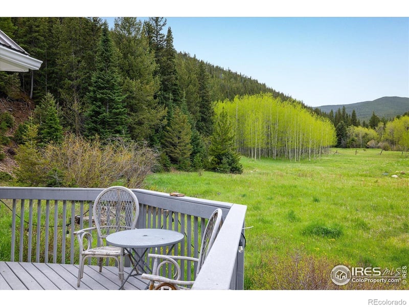 489 Beaver Creek Dr, Nederland, CO 80466