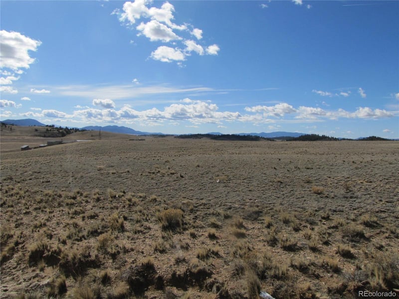 346 Cherokee Trl, Hartsel, CO 80449