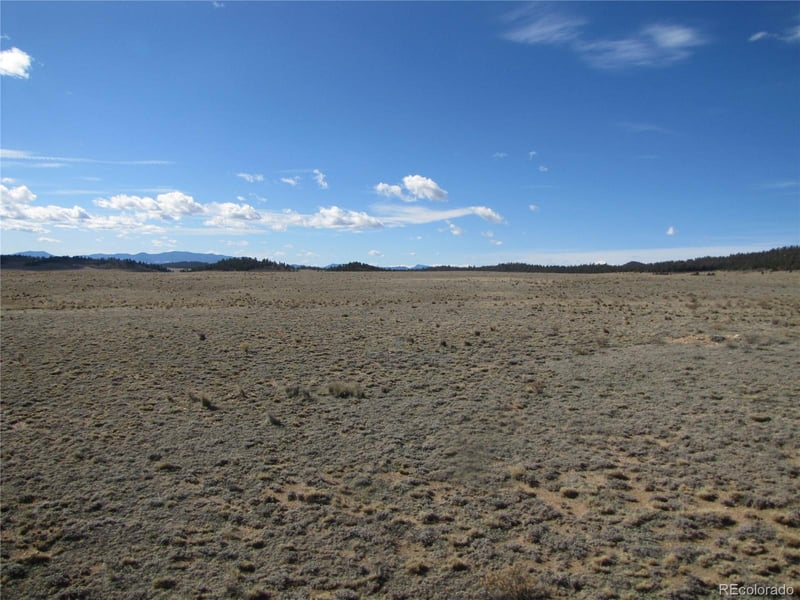 346 Cherokee Trl, Hartsel, CO 80449