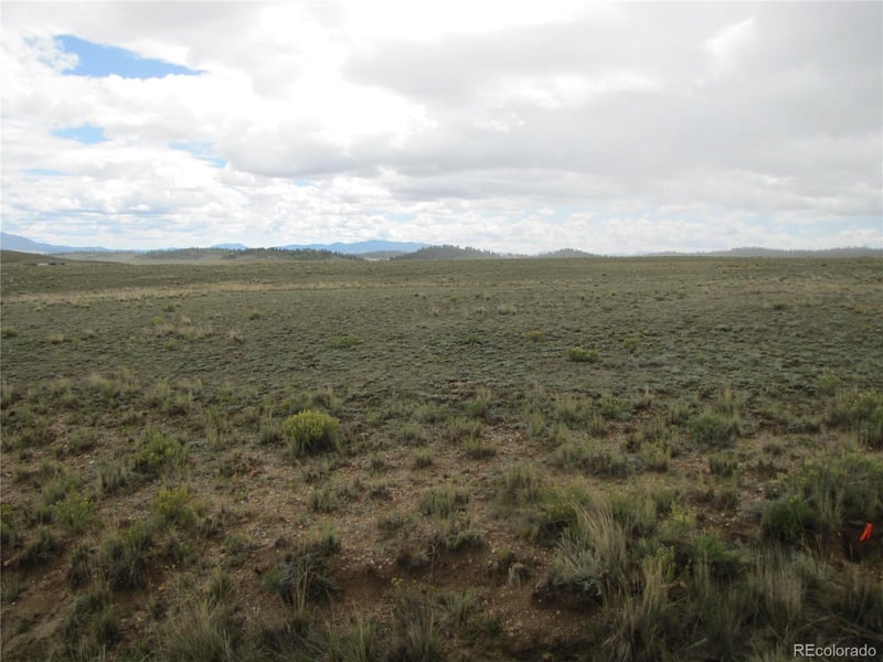 346 Cherokee Trl, Hartsel, CO 80449