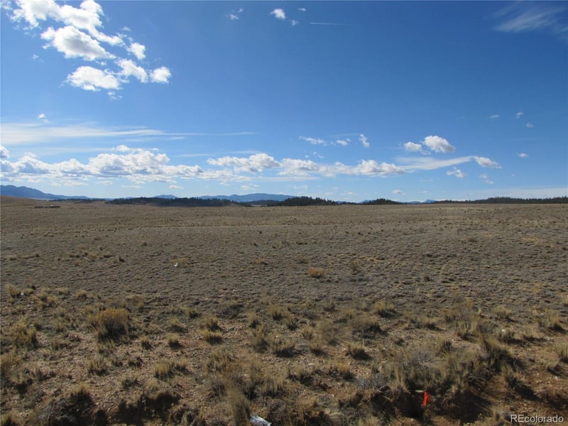 346 Cherokee Trl, Hartsel, CO 80449