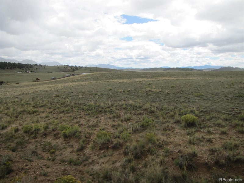 346 Cherokee Trl, Hartsel, CO 80449