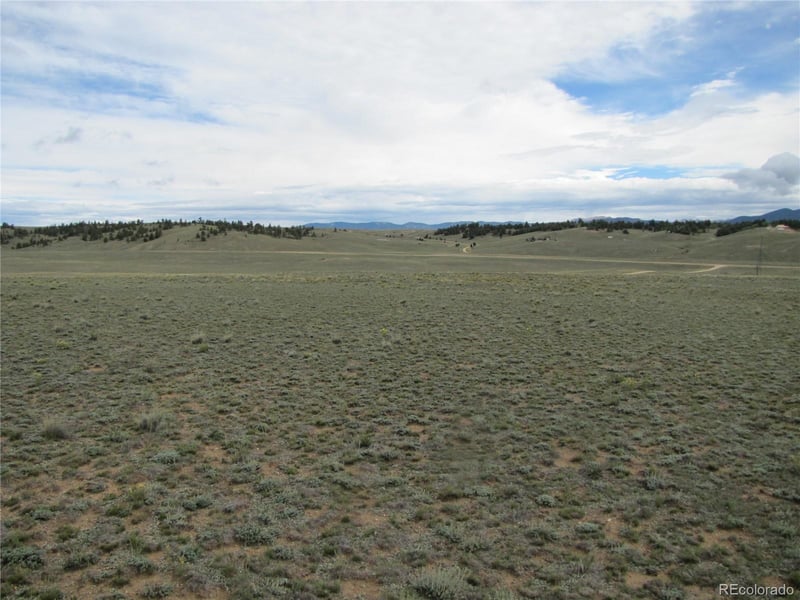 346 Cherokee Trl, Hartsel, CO 80449