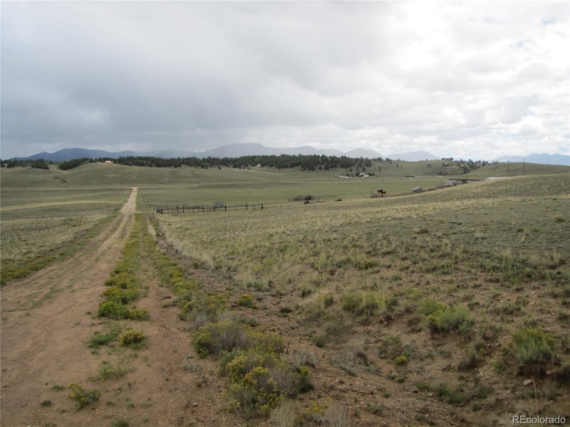 346 Cherokee Trl, Hartsel, CO 80449