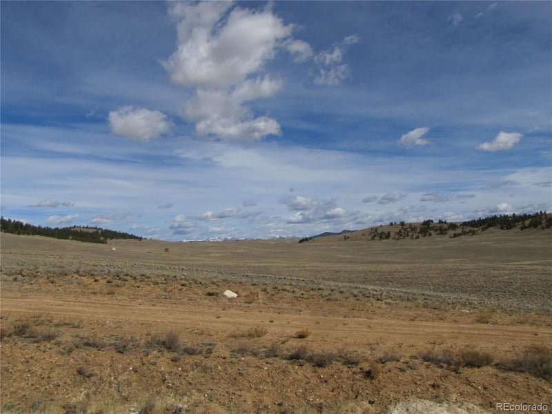 346 Cherokee Trl, Hartsel, CO 80449