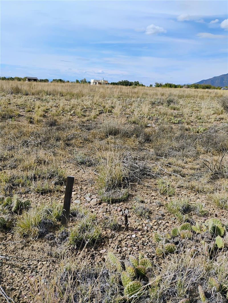 1382 Saddle Rock Trl, Crestone, CO 81131