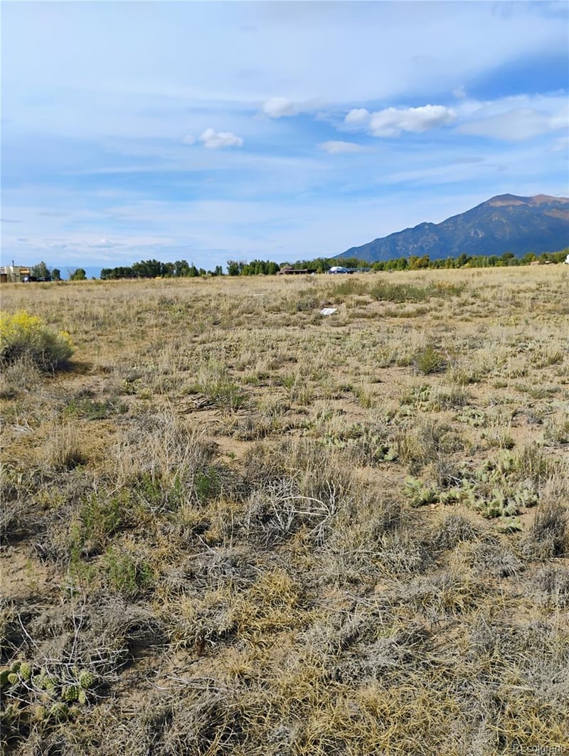1382 Saddle Rock Trl, Crestone, CO 81131