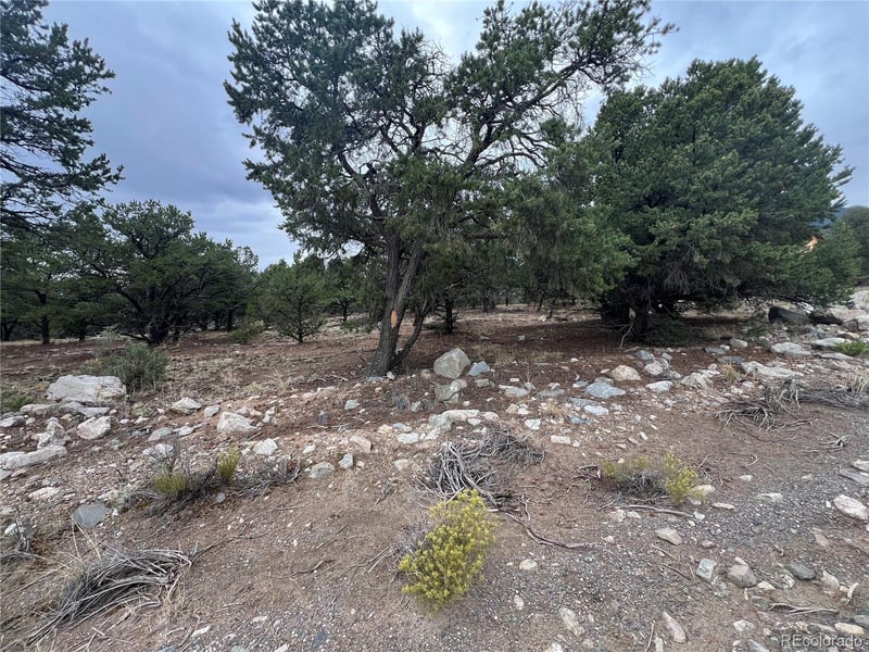 1917 Lone Pine Way, Crestone, CO 81131