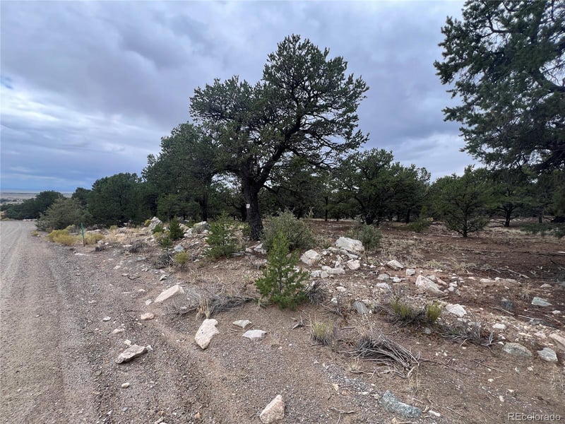 1917 Lone Pine Way, Crestone, CO 81131