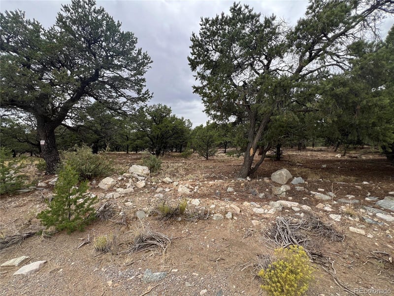 1917 Lone Pine Way, Crestone, CO 81131