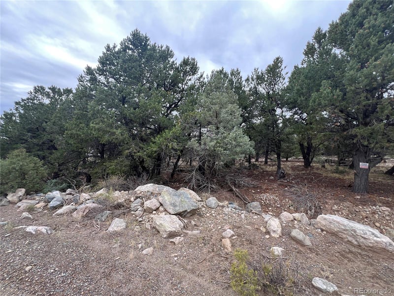 1915 Lone Pine Way, Crestone, CO 81131