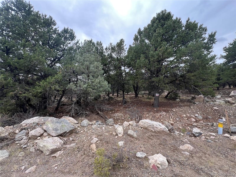 1915 Lone Pine Way, Crestone, CO 81131