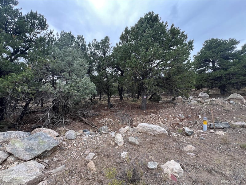 1915 Lone Pine Way, Crestone, CO 81131
