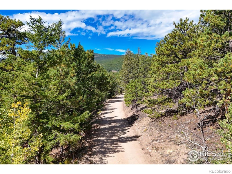 16758 Indiana Gulch Rd, Ward, CO 80481