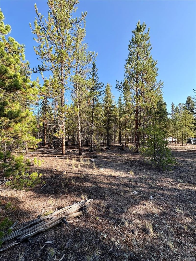776 Birch Dr Lot 478, Twin Lakes, CO 80461