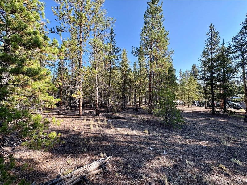 776 Birch Dr Lot 478, Twin Lakes, CO 80461