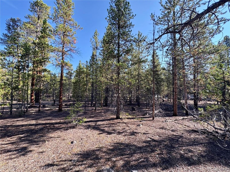 776 Birch Dr Lot 478, Twin Lakes, CO 80461