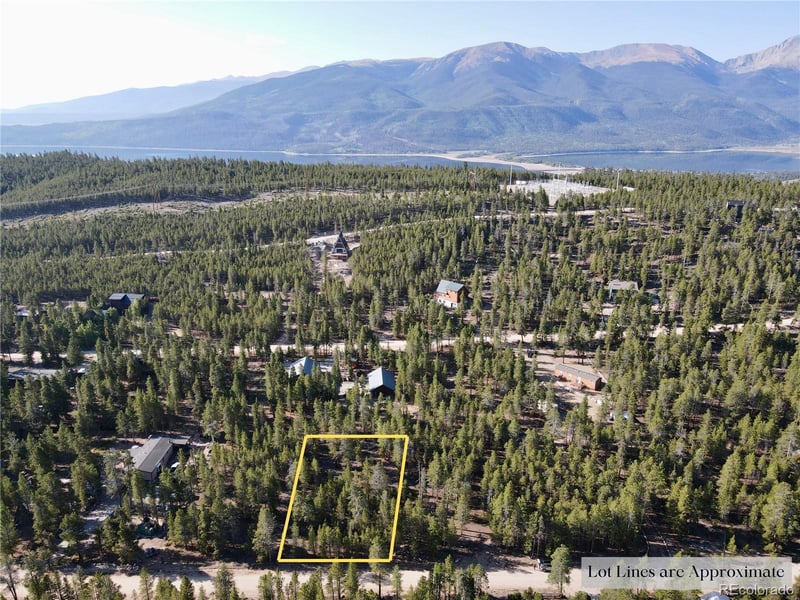 TBD-Lot 479 Birch Dr Lot 479, Twin Lakes, CO 80461