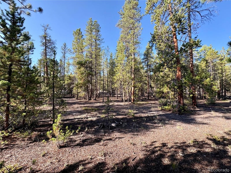 TBD-Lot 479 Birch Dr Lot 479, Twin Lakes, CO 80461