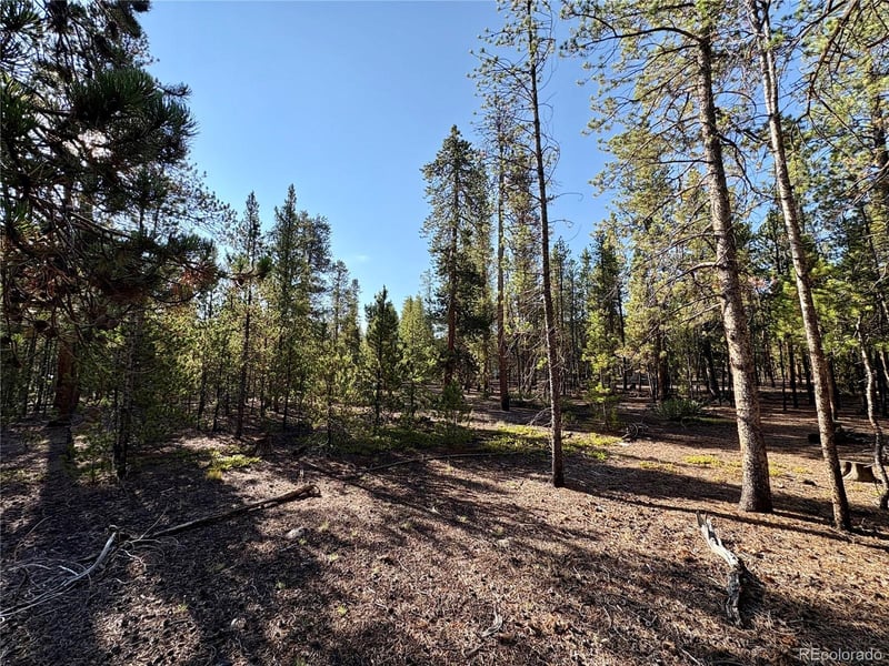 TBD-Lot 479 Birch Dr Lot 479, Twin Lakes, CO 80461