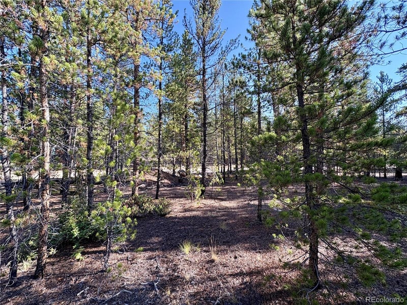 TBD-Lot 479 Birch Dr, Twin Lakes, CO 80461