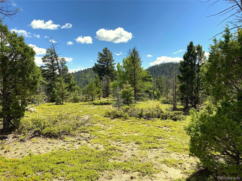 TBD L 27 Copper Mountain Rd, Cotopaxi, CO 18223