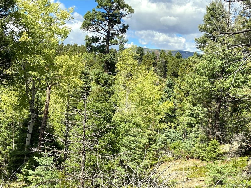 TBD L 27 Copper Mountain Rd, Cotopaxi, CO 18223