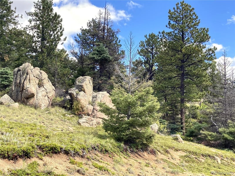 TBD L 27 Copper Mountain Rd, Cotopaxi, CO 18223