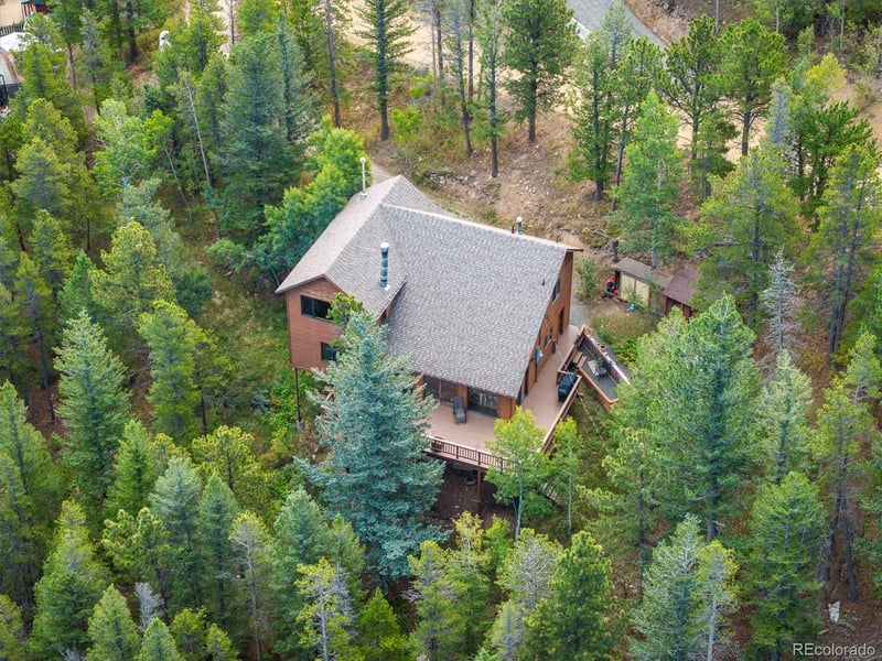 81 Doe Trl, Nederland, CO 80466