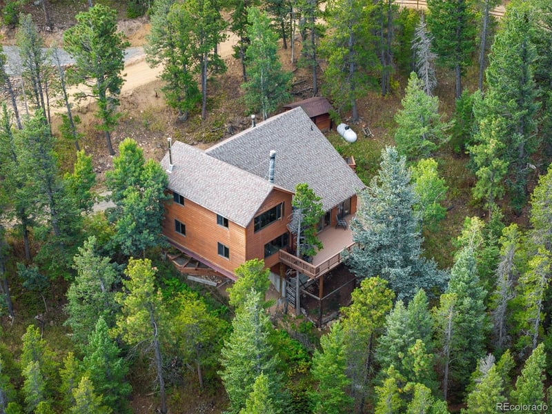 81 Doe Trl, Nederland, CO 80466
