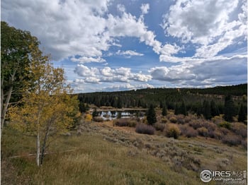 37 Oneida Ct, Red Feather Lakes, CO 80545