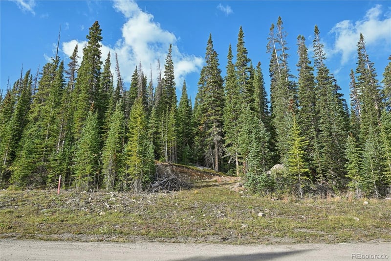 159 Hamilton Ln, Breckenridge, CO 80424