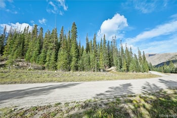 159 Hamilton Ln, Breckenridge, CO 80424