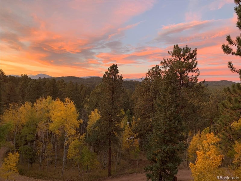 11665 S Upper Ranch Dr, Pine, CO 80470