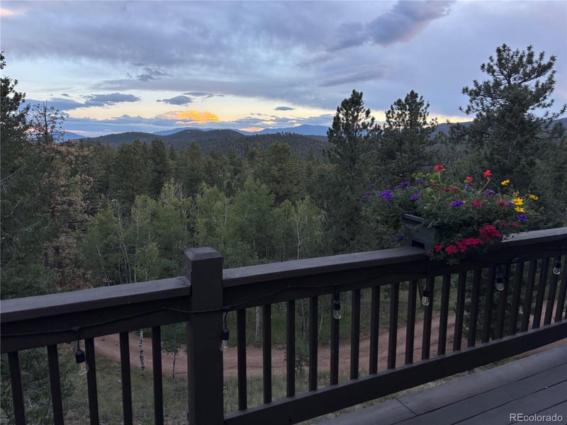 11665 S Upper Ranch Dr, Pine, CO 80470