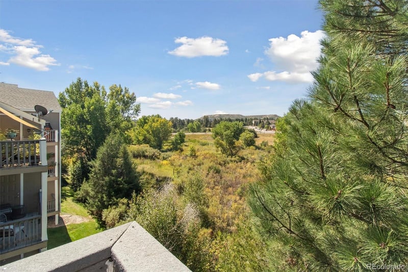 1251 S Gilbert St #1251, Castle Rock, CO 80104
