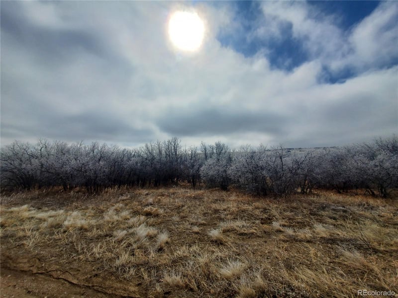 000 Thacker Rd, Colorado City, CO 81069