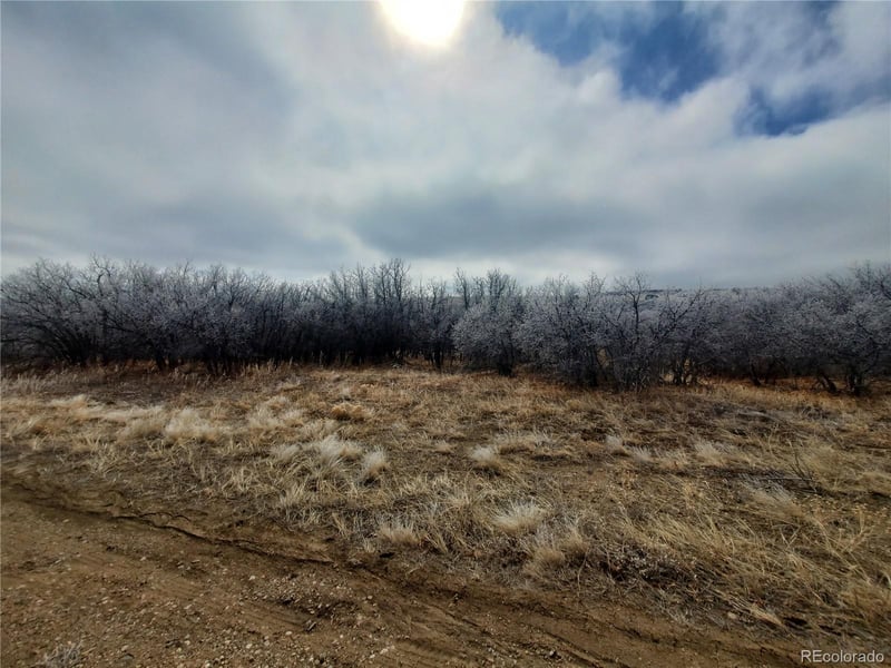 000 Thacker Rd, Colorado City, CO 81069