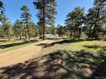 14271 Jubilee Trl, Pine, CO 80470