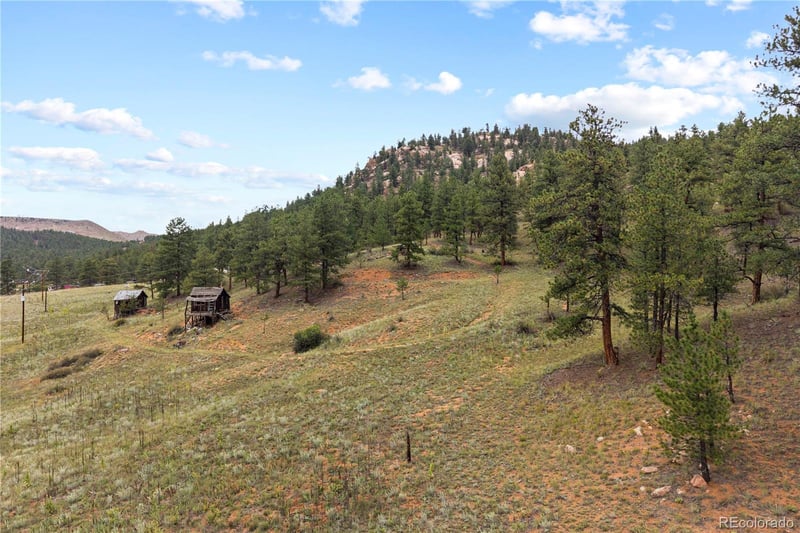 Brynmawr Rd, Pine, CO 80470