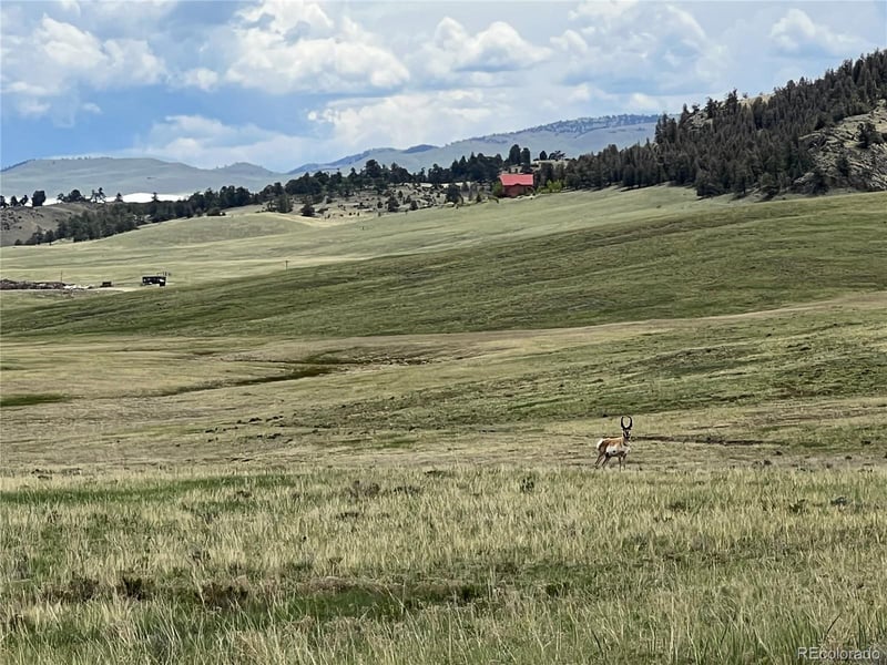 04 Ranch Rd Lot 2, Hartsel, CO 80449