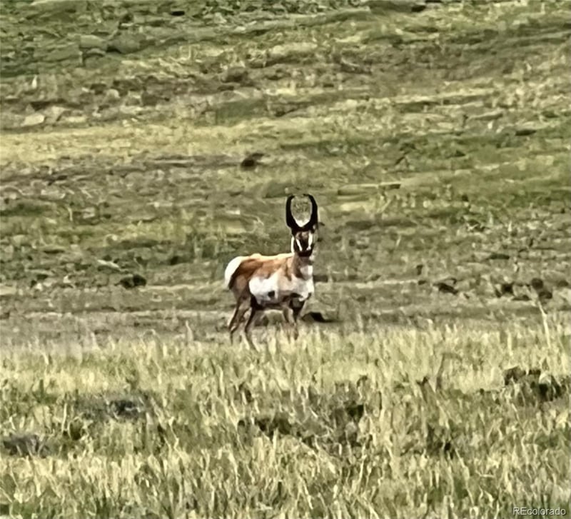 04 Ranch Rd Lot 2, Hartsel, CO 80449