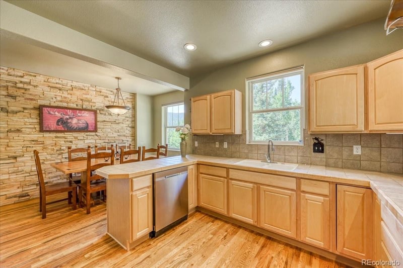 234 Peterson Dr, Fairplay, CO 80440