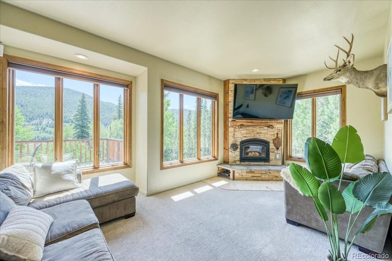 234 Peterson Dr, Fairplay, CO 80440