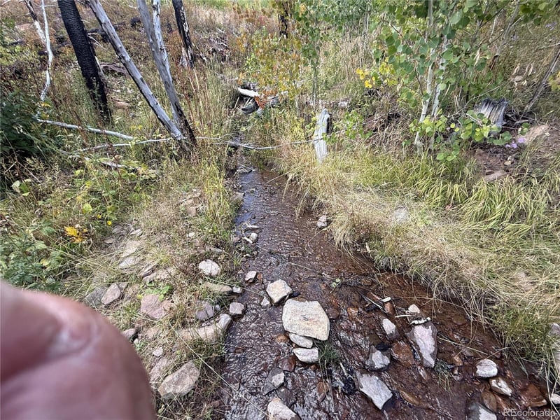 833 Huntington Ln, Fort Garland, CO 81133