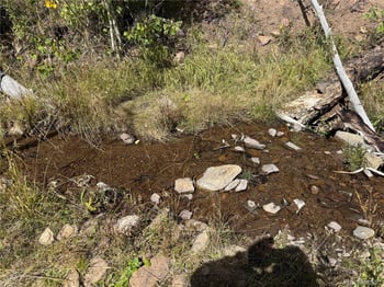 833 Huntington Ln, Fort Garland, CO 81133