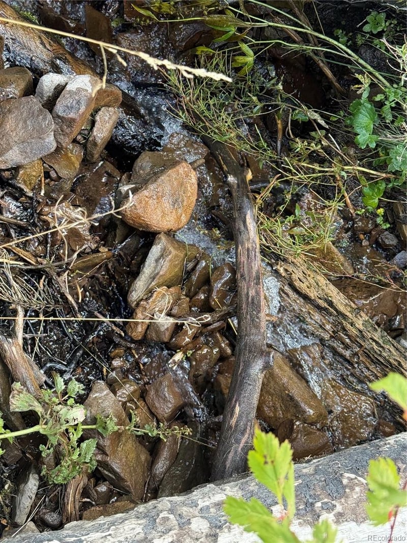 833 Huntington Ln, Fort Garland, CO 81133