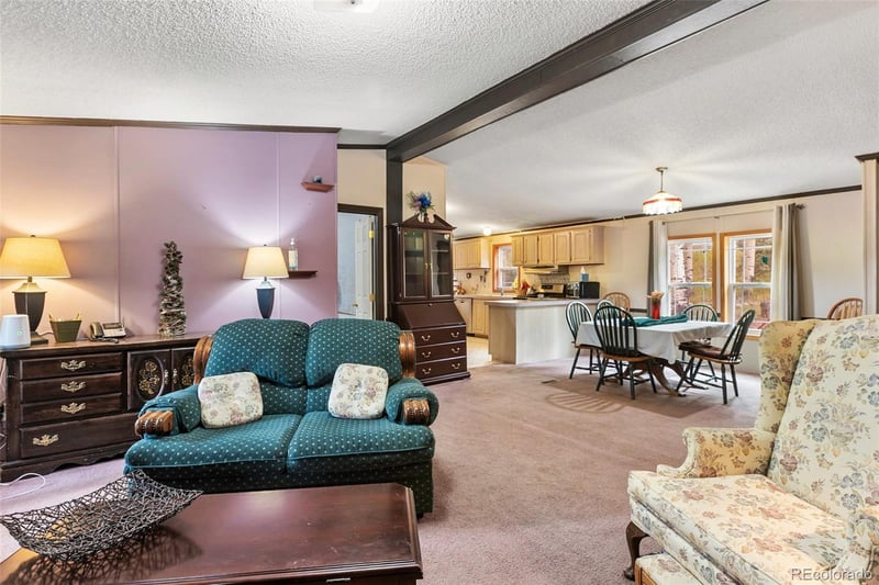 543 Will Stutley Dr, Divide, CO 80814