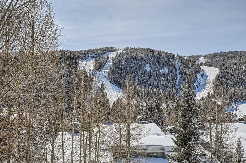 22864 Us Highway 6 #301, Keystone, CO 80435